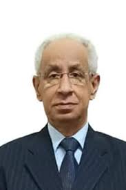 محمد صفي الدين خربوش